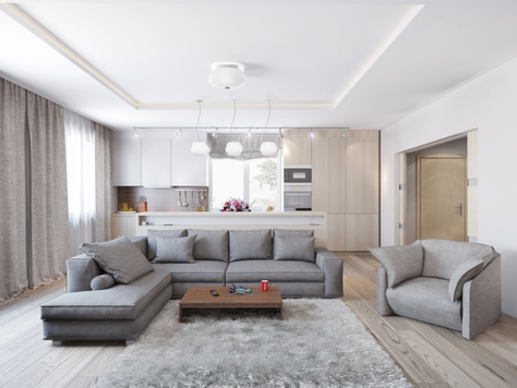 Дизайн интерьера от дизайнера Альтерман Евгений